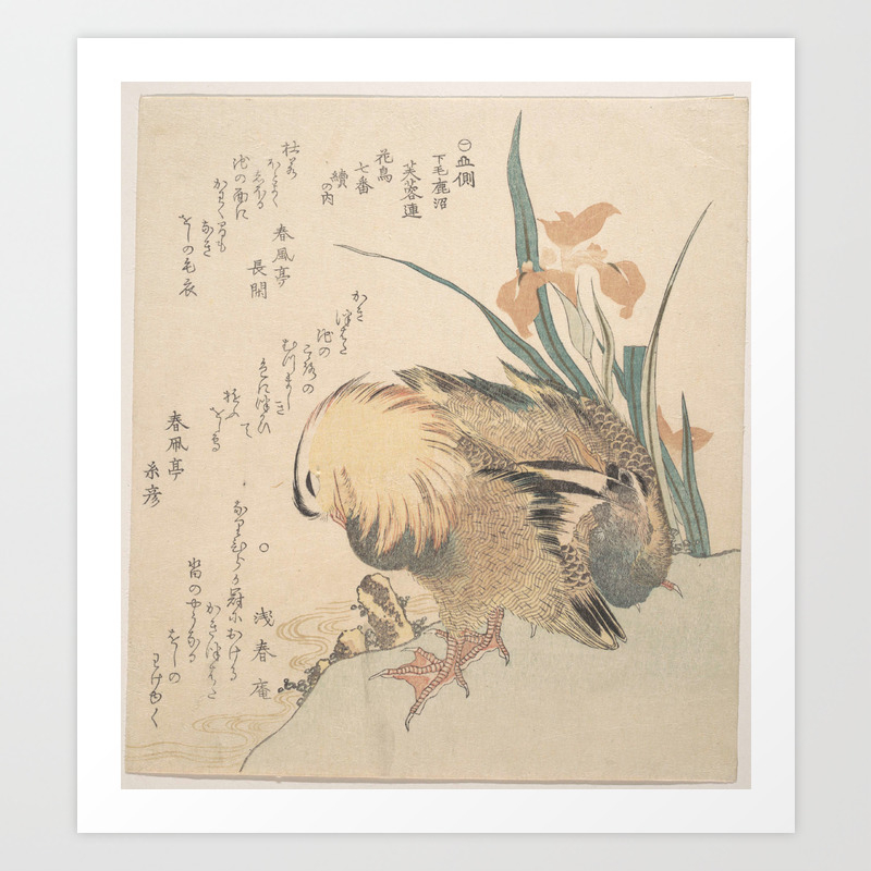 Pair Of Mandarin Ducks And Iris Flowers Kubo Shunman Japanese