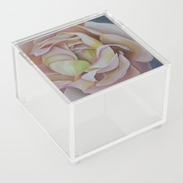 Ranunculus Acrylic Box