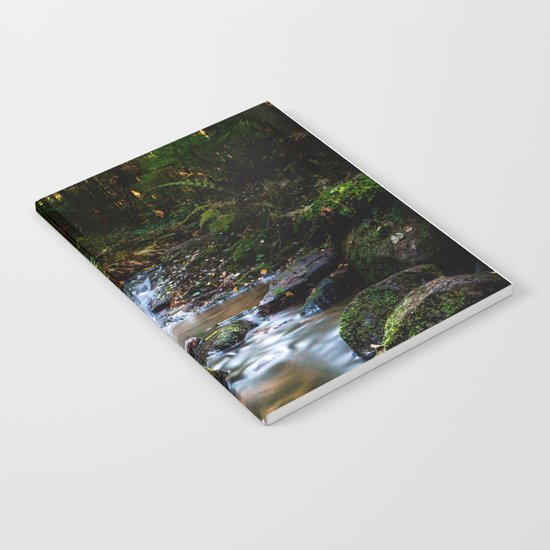 Reality lost Notebook