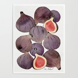 figs still life botanical watercolor Poster