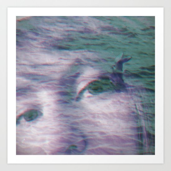 Kingdom of the little seagull Art Print