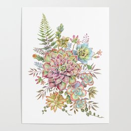 Watercolor Succulent #72 Poster