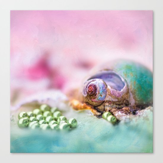 SECRETS Canvas Print