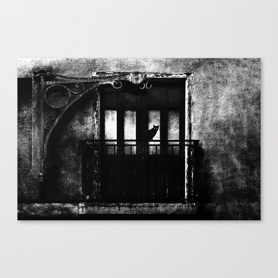 The Cat Canvas Print