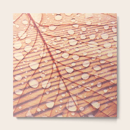 Forever Metal Print