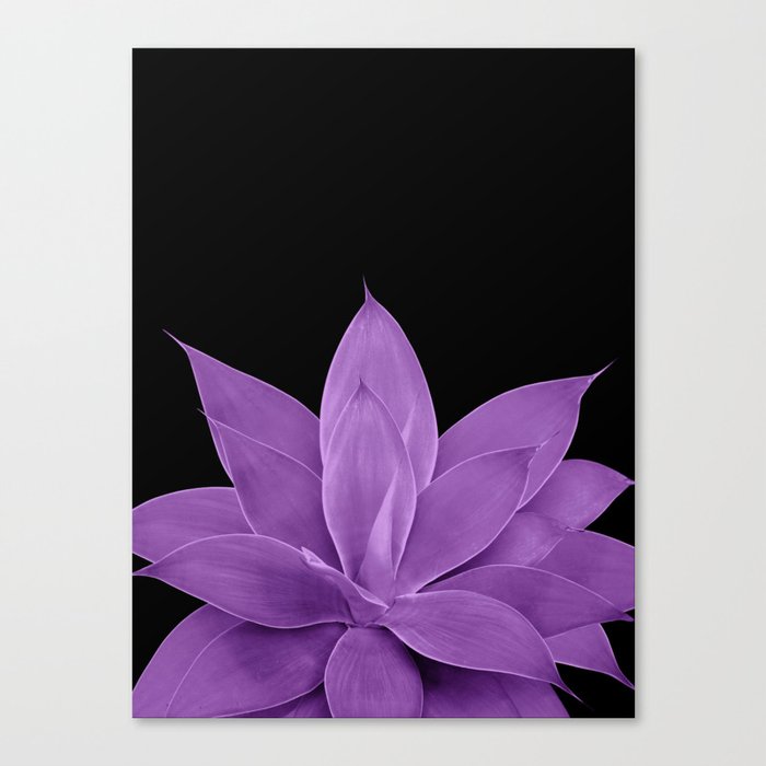 Purple Agave #1 #tropical #decor #art #society6 Canvas Print