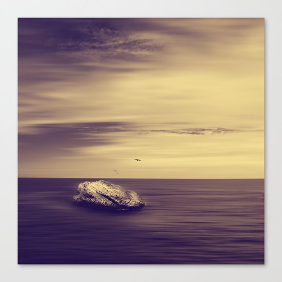the Rock Canvas Print