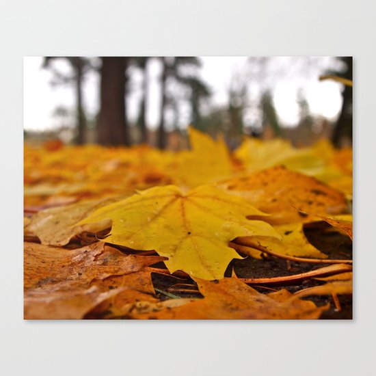 Golden leaves Canvas Print