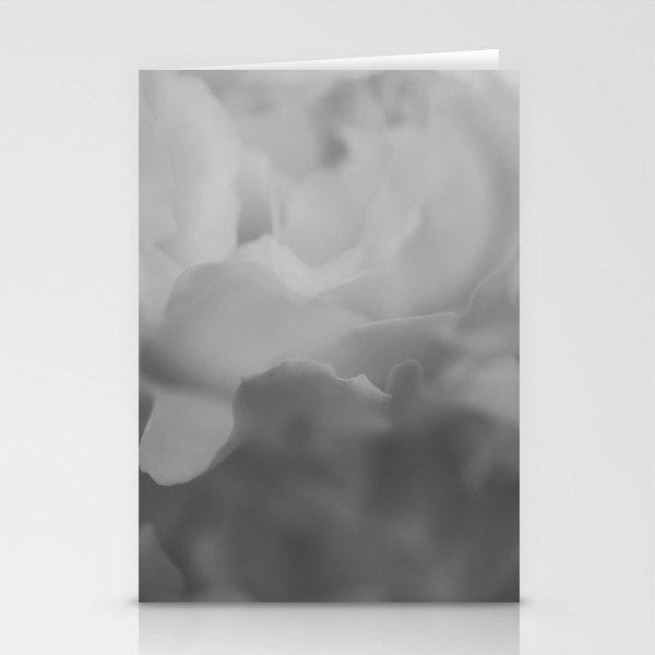 Petals in Abundance - Abstract Floral Photography Stationery Cards