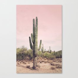 Blush Sky Cactus Canvas Print