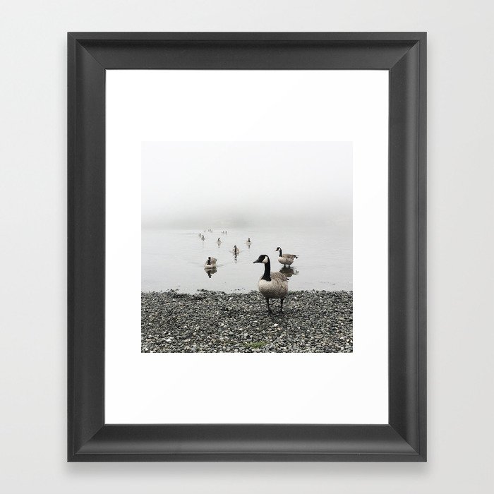 Canadian Geese + Fog Framed Art Print