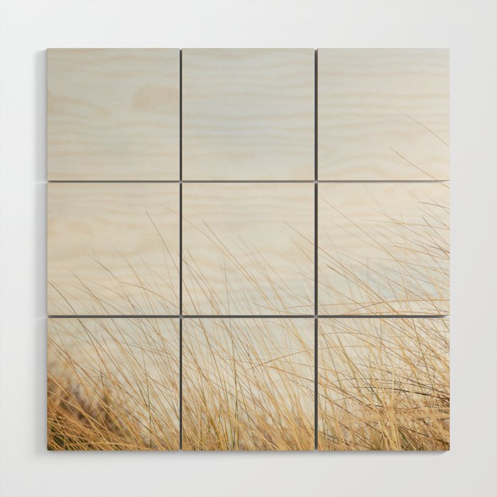 Marram grass in the bottom of a blue sky picture, in the Netherlands, fine art. Wood Wall Art