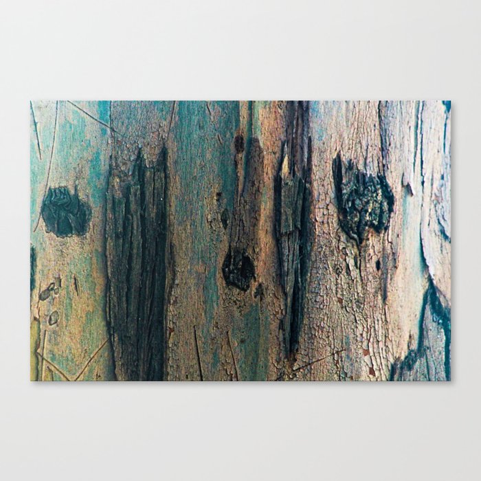 Eucalyptus Tree Bark and Wood Abstract Natural Texture 61 Canvas Print