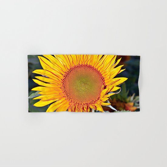 Floating SUN Hand & Bath Towel