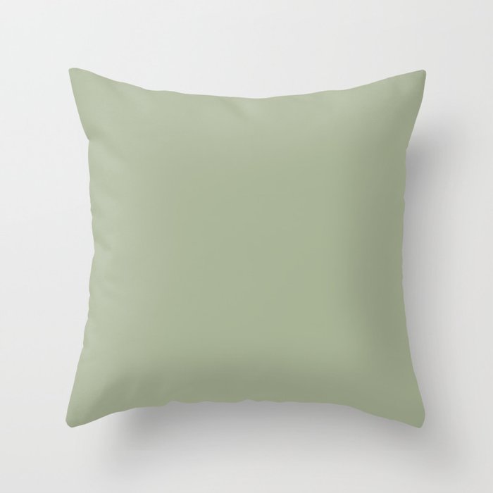 The Sage Green Solid  Throw Pillow