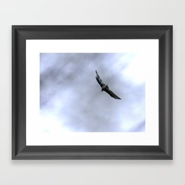 Hawk Black Bird Blue Sky Modern Cottage Chic Art A473 Framed Art Print