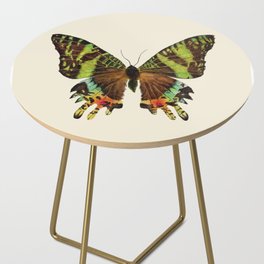 Madagascan Sunset Moth Watercolor Vintage Butterfly  Side Table