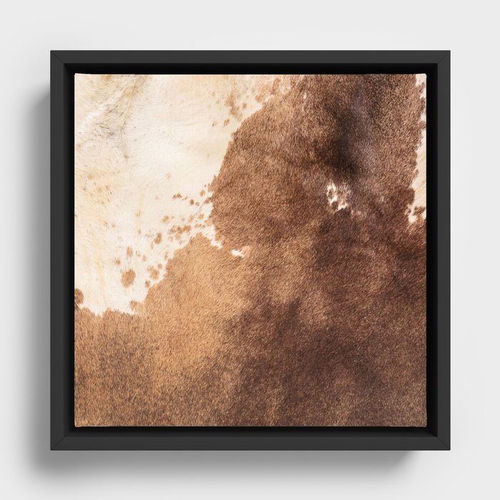 Framed Canvas