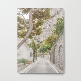 Botanical Road On Capri Island Photo | Summer In Italy Art Print | Nature Travel Photography Metal Print