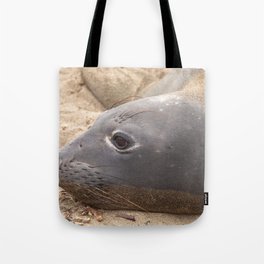 Elephant Seal Tote Bag