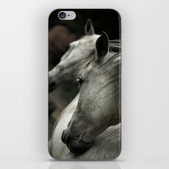 white horse iPhone & iPod Skin