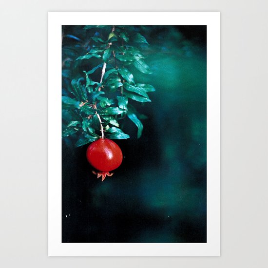Pom Art Print