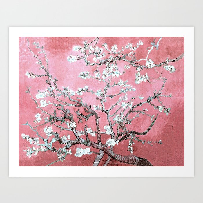Van Gogh Timeless Almond Blossoms: White Blooms on a Classic Sweet Pink Canvas Art Print