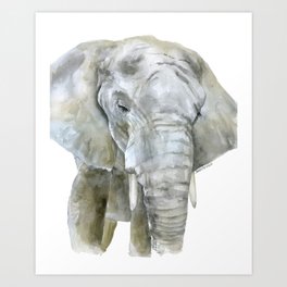 Elephant Watercolor Painting - African Animal Art Print
