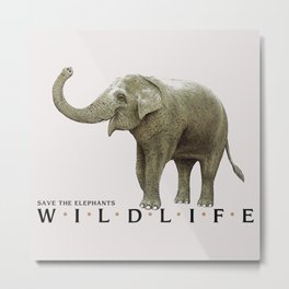 Elephant Wildlife Metal Print