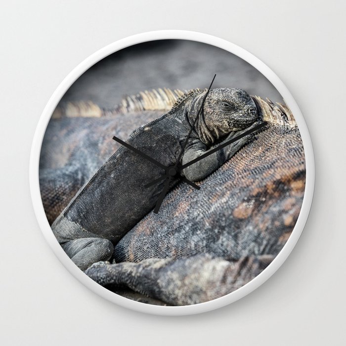 Galapagos Baby Marine Iguana Wall Clock By Arianeart Society6
