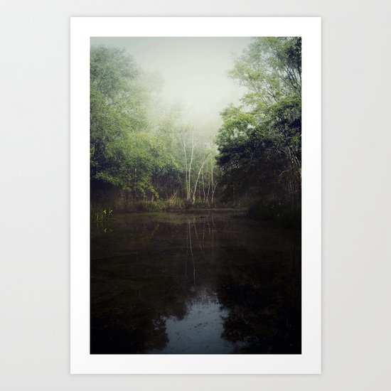 Gulf Coast Bayou Art Print