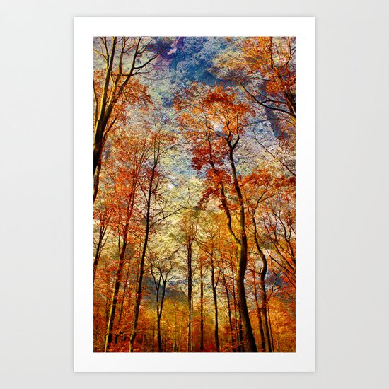 Dreamwood Art Print