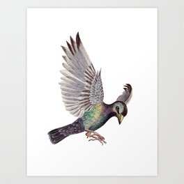 starling Art Print