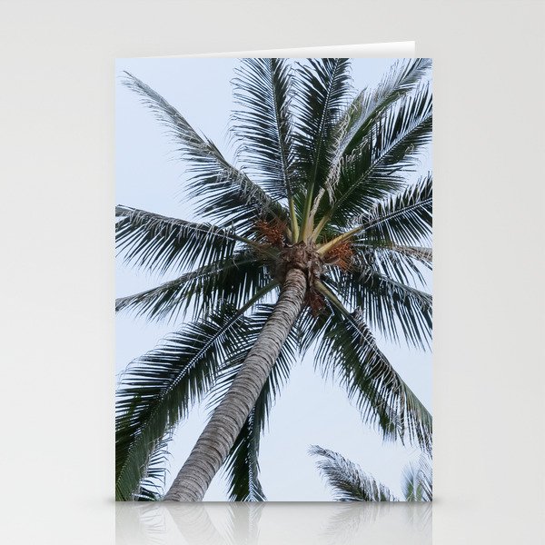 Mexico Photography - A Dry Palm Tree Seen From Below Stationery Cards