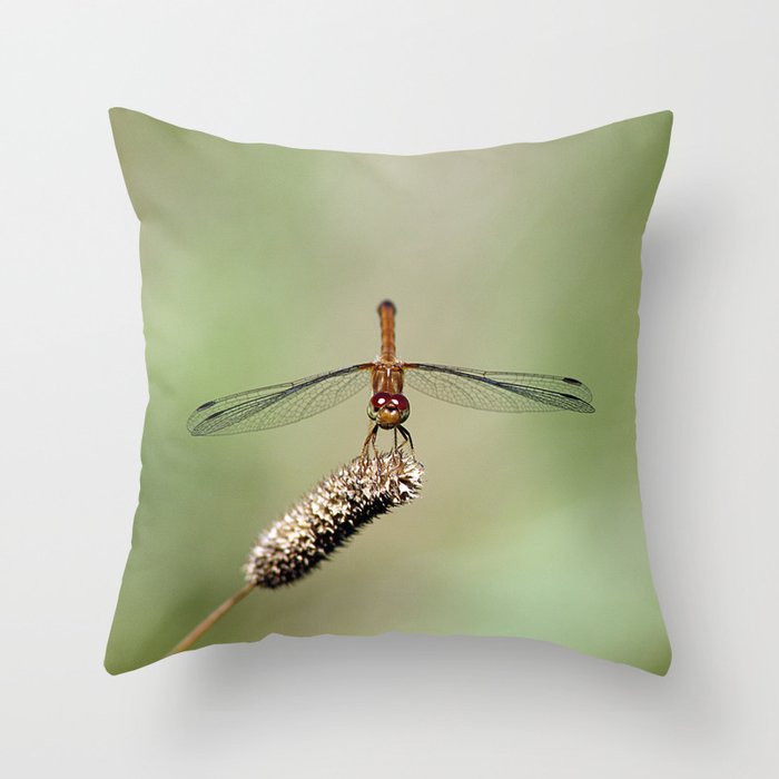 Autumn Meadowhawk Dragonfly Throw Pillow
