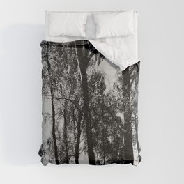 Summer Birch Trees in Black and White Comforter