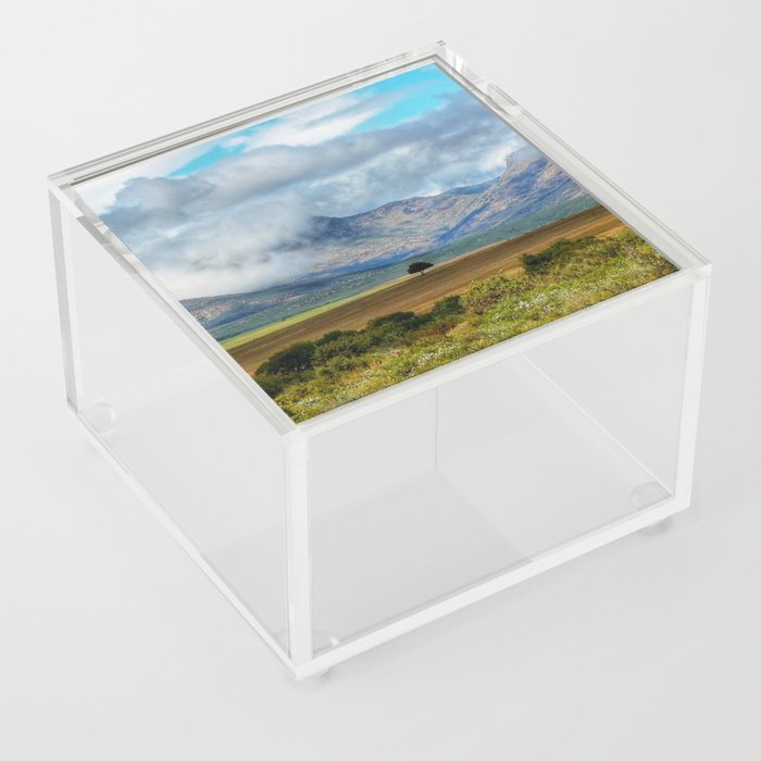 South Africa Photography - A Small Tree Surrounded By Big Landscape  Acrylic Box