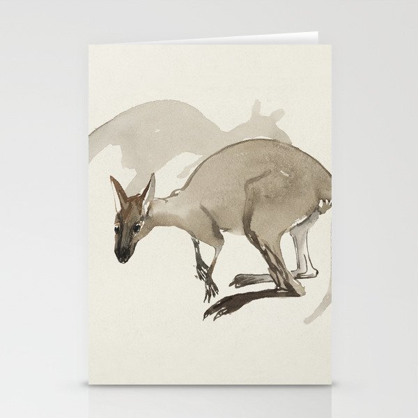 Kangaroo illustration Stationery Cards