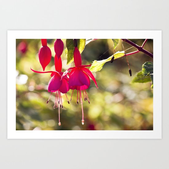 Campanas rojas Art Print