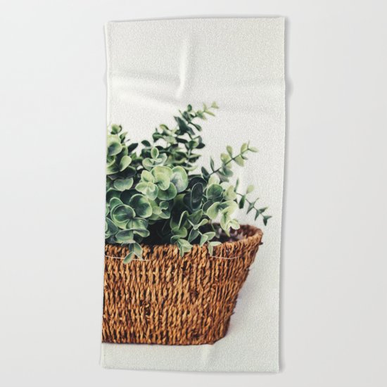 Plant On White Beach Towel