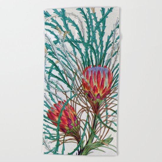 A Protea flower Beach Towel