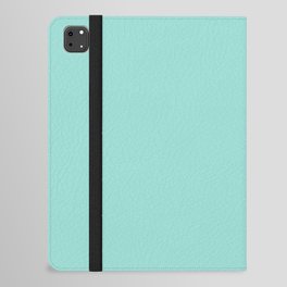 Land Ho! iPad Folio Case