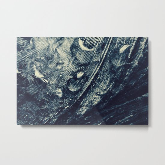 Raven Frost Metal Print