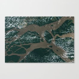 Amazon River Canvas Print