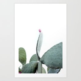 Mint Green Cactus Art Print
