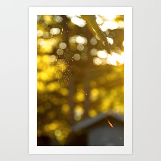 These Fragile Threads Art Print