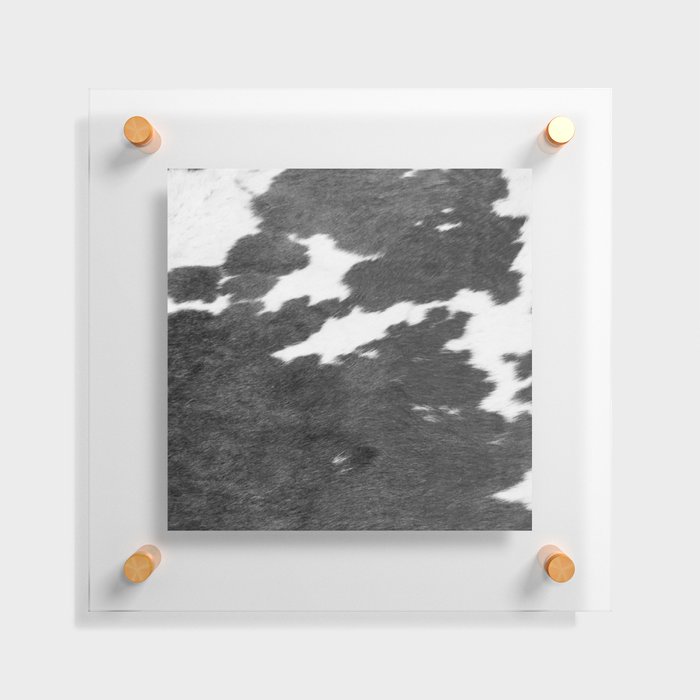 Monochrome Cowhide Composition Floating Acrylic Print