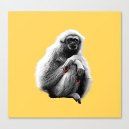 Sexy Gibbon Canvas Print