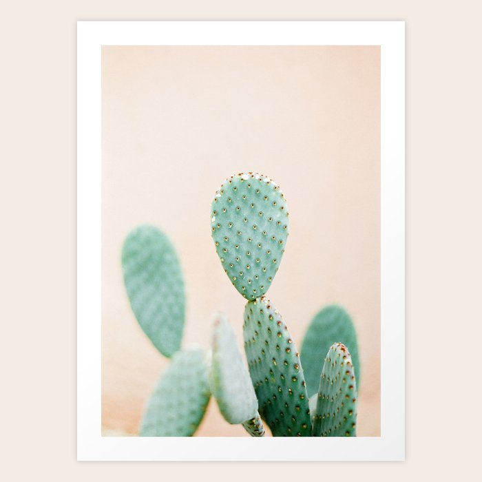 Cactus Photo Print Botanical Cactus Morocco Modern Wall Art Pastel Botanical Art Print By Raisazwart Society6