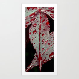 Rain on a leaf Art Print